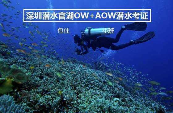 氪原子首次捕获并形成一维气体，有助理解原子和分子行为