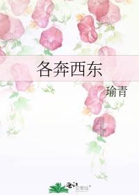 时尚太阳眼镜